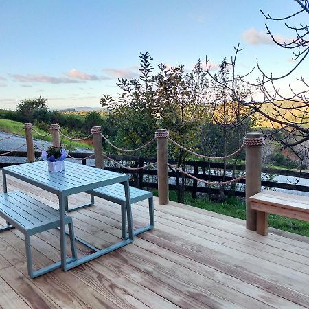 Secluded, Private Rural Retreat Mins From Warkworth -"Avondale" Minihouse 빌라 외부 사진